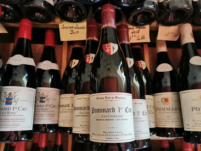 Bouteilles de vins de Bourgogne présentées en cave